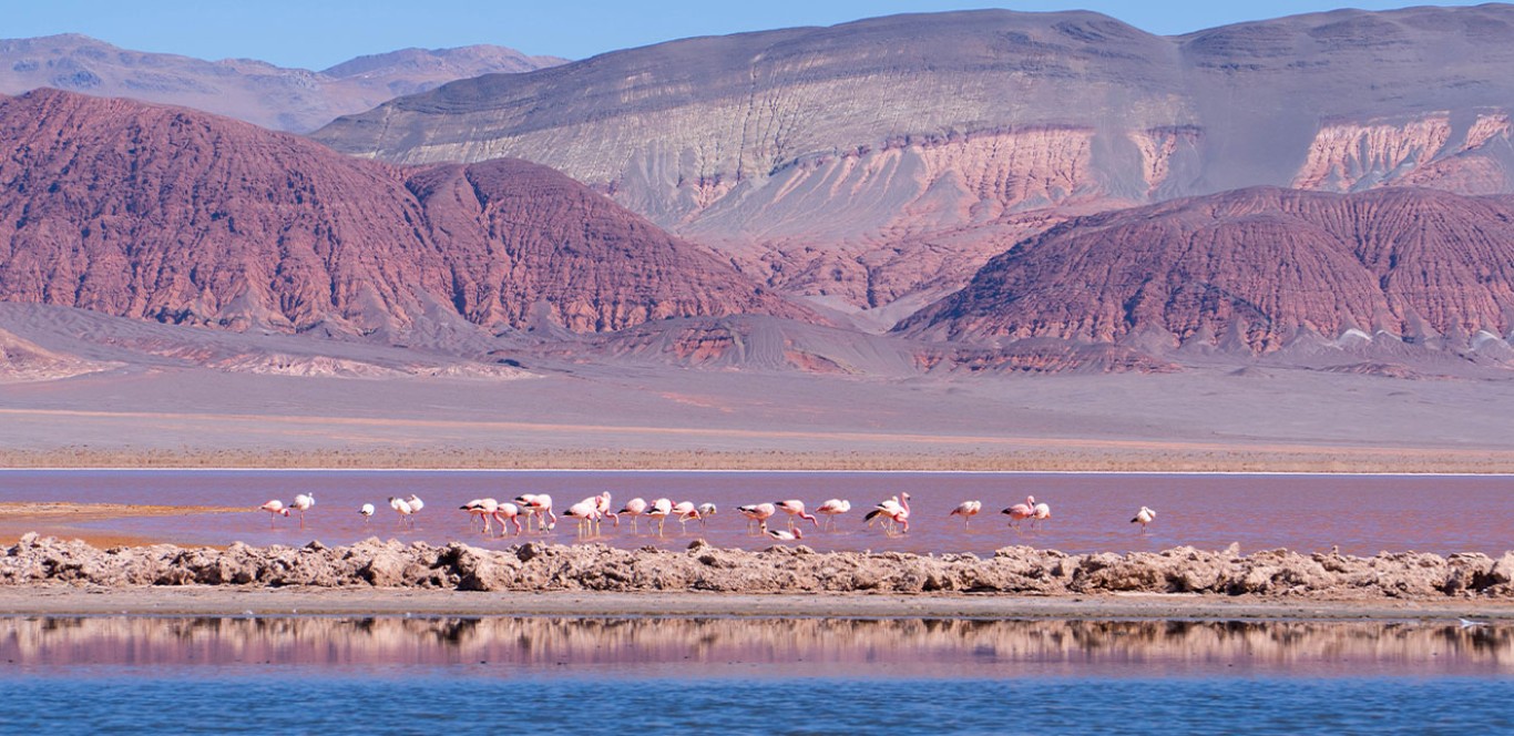 Salar Carachi Pampa - PROYECTO DE EXPLORACIÓN DE LITIO