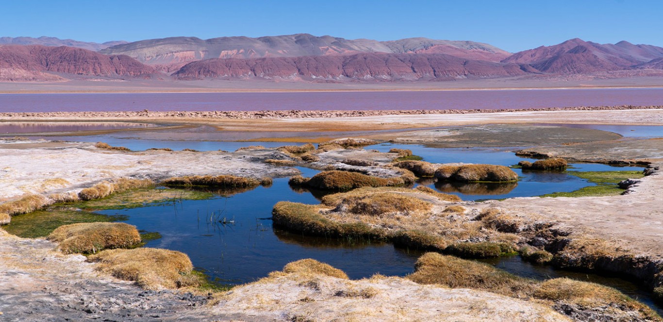 Salar Carachi Pampa - PROYECTO DE EXPLORACIÓN DE LITIO