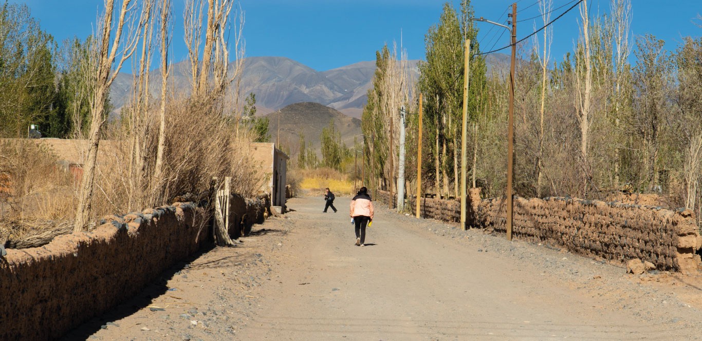 Salar Carachi Pampa - PROYECTO DE EXPLORACIÓN DE LITIO