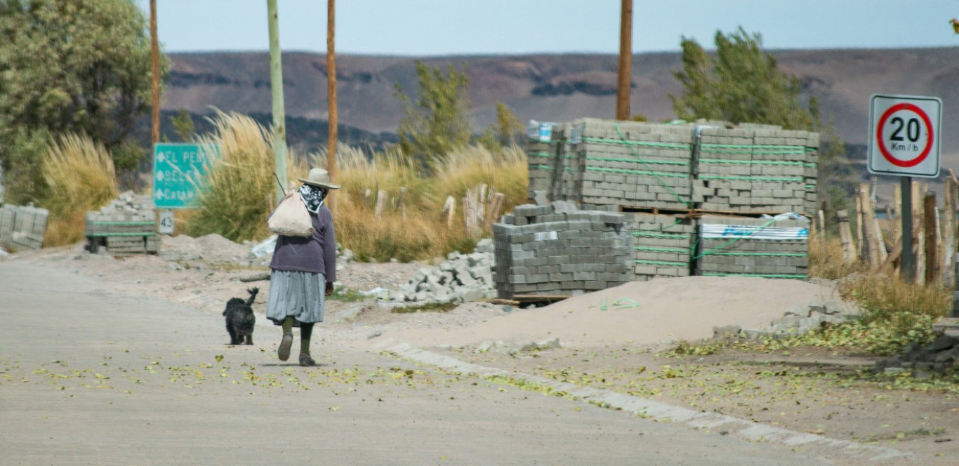 Salar Carachi Pampa - PROYECTO DE EXPLORACIÓN DE LITIO
