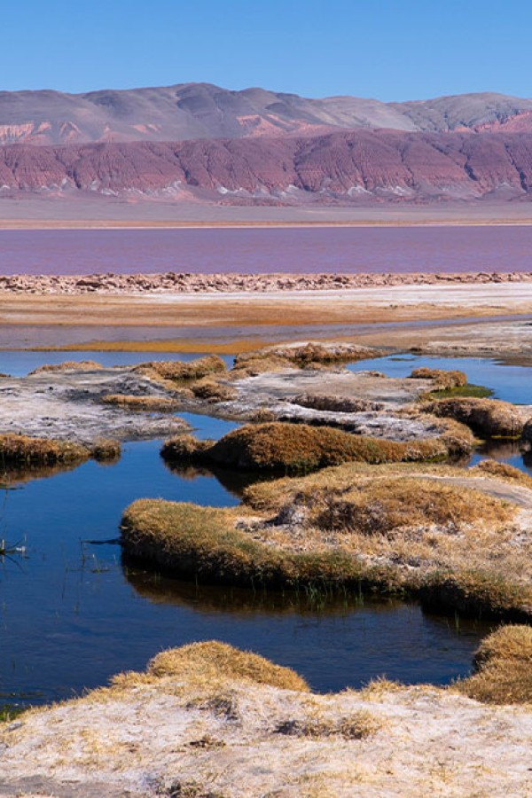 Salar Carachi Pampa - PROYECTO DE EXPLORACIÓN DE LITIO
