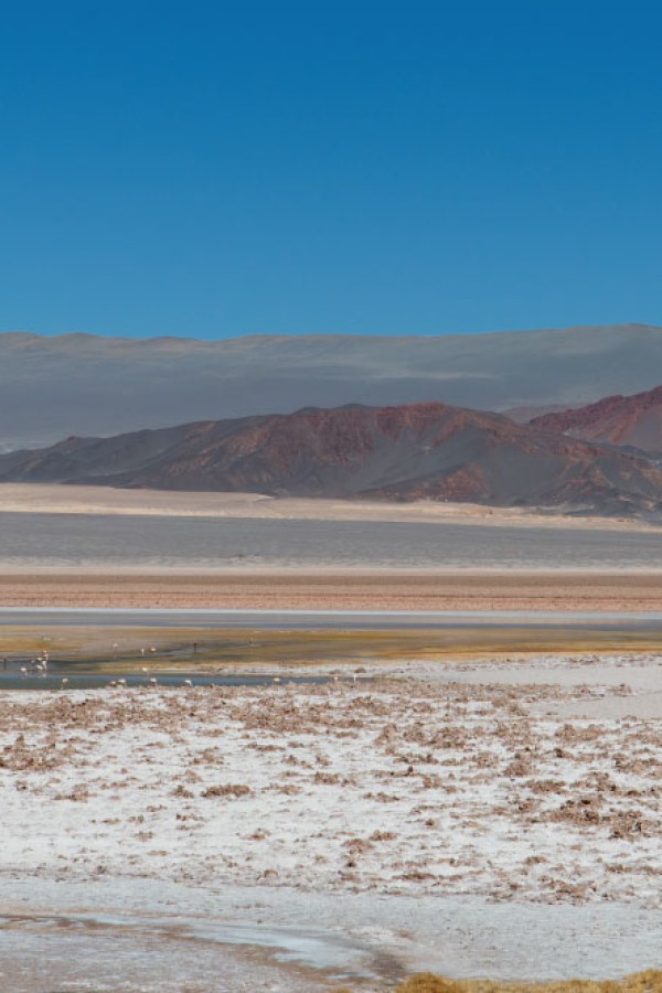 Salar Carachi Pampa - PROYECTO DE EXPLORACIÓN DE LITIO